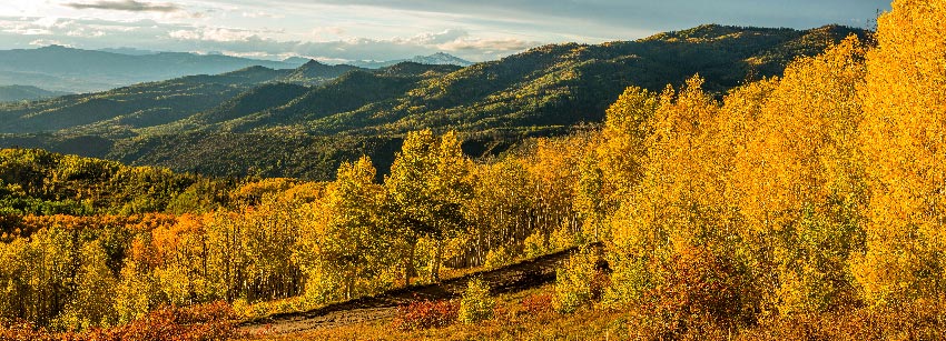 Steamboat-Springs-Storage-Container